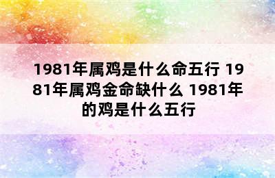 1981年属鸡是什么命五行 1981年属鸡金命缺什么 1981年的鸡是什么五行